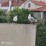 شقة Garden Yard