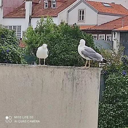 דירה Garden Yard