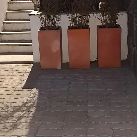Apartment Garden Yard Porto