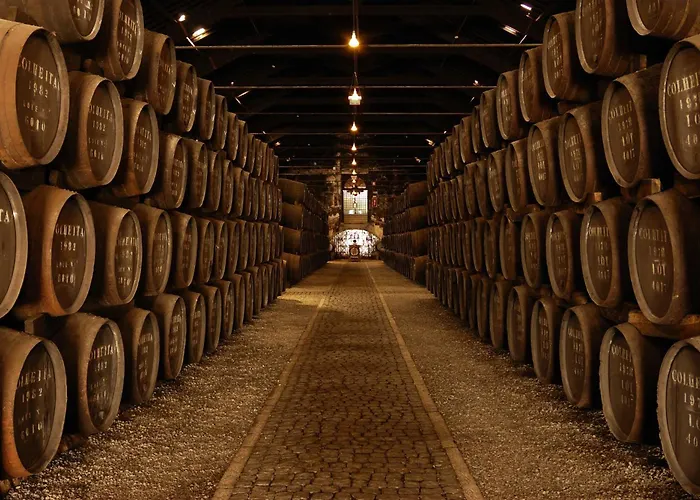 Daire Garden Yard Porto