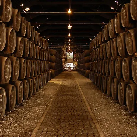 Апартаменты Garden Yard Порту