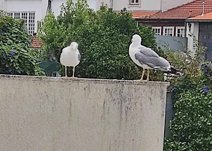 Apartamento Garden Yard